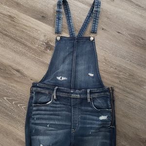 AE Jegging Overall